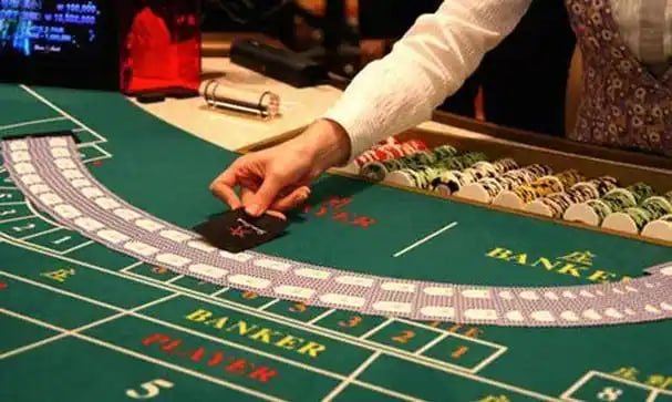 667bet login