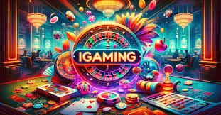 667bet login